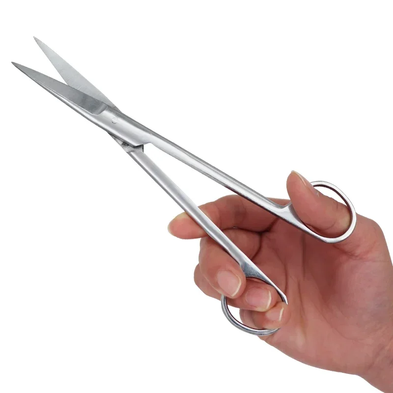 Forbici chirurgiche in acciaio - Medical Scissors recensione e prezzo