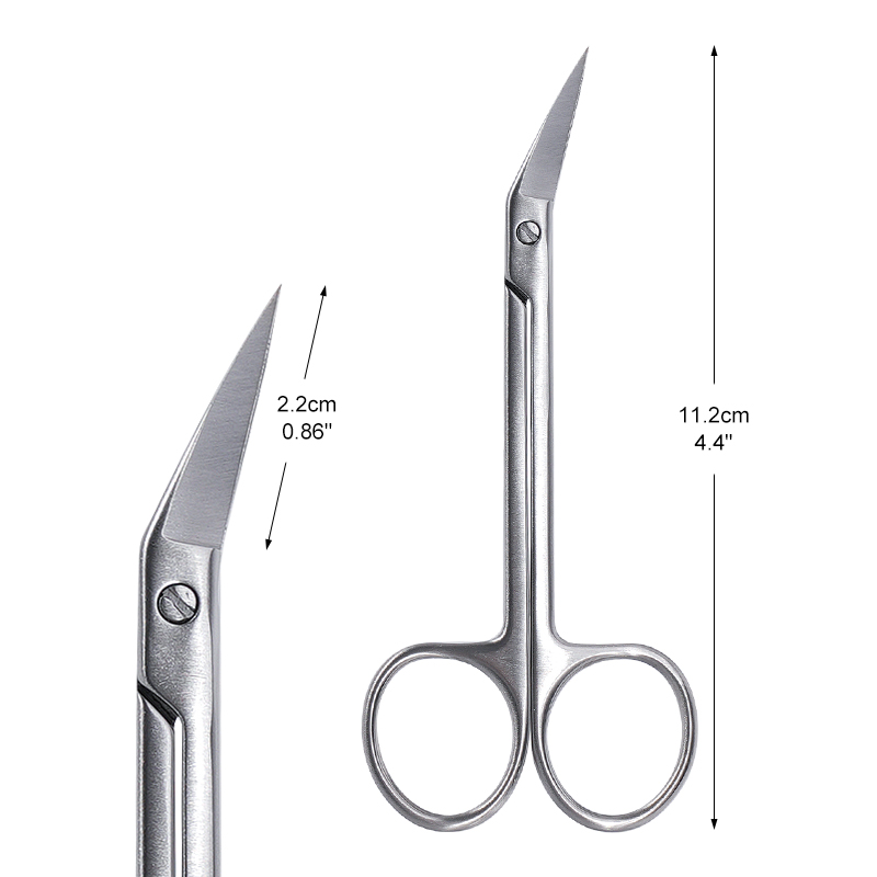 1pc Micro Forbici Dentali Test - Medical Scissors recensione e prezzo