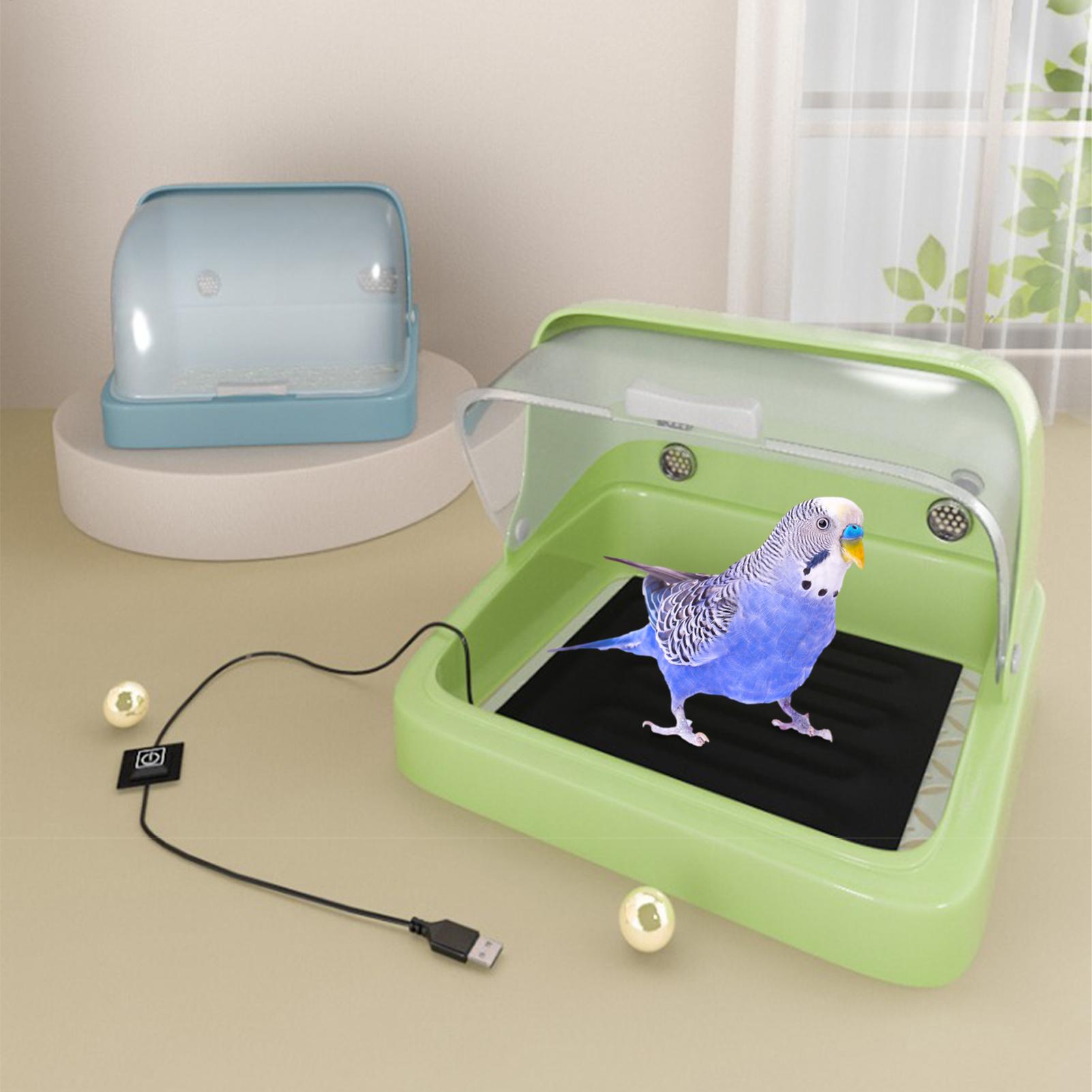 2025 Pulcini per bambini Allev - Lab Incubator recensione e prezzo